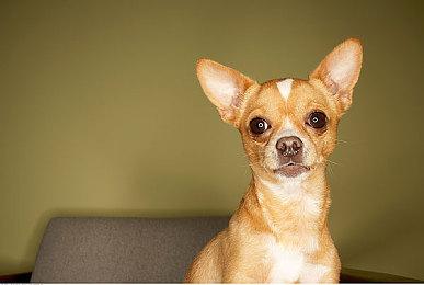 《万民长歌：三国》Steam商店页公开 推荐2060s显卡